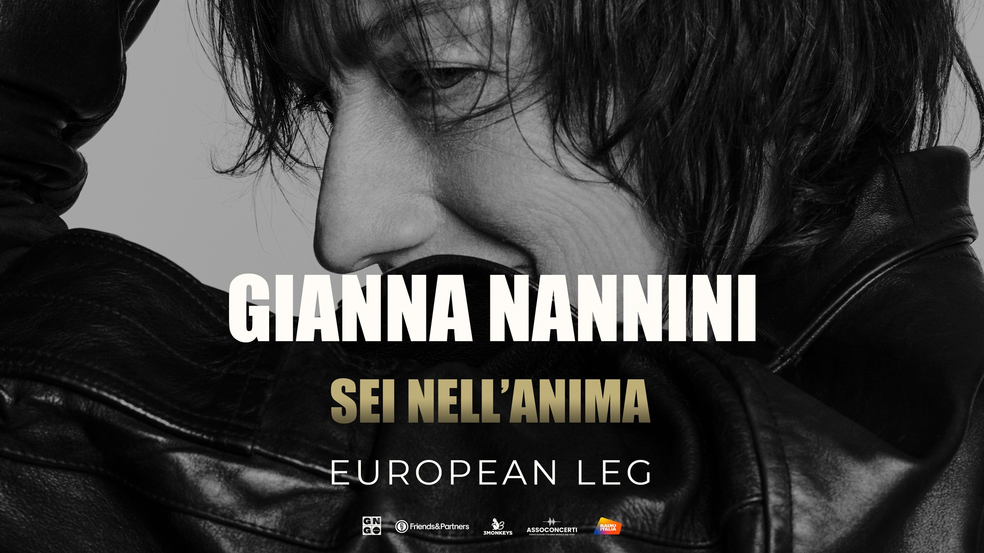 Sei Nell Anima European Leg Gianna Nannini Tour Friends Partners